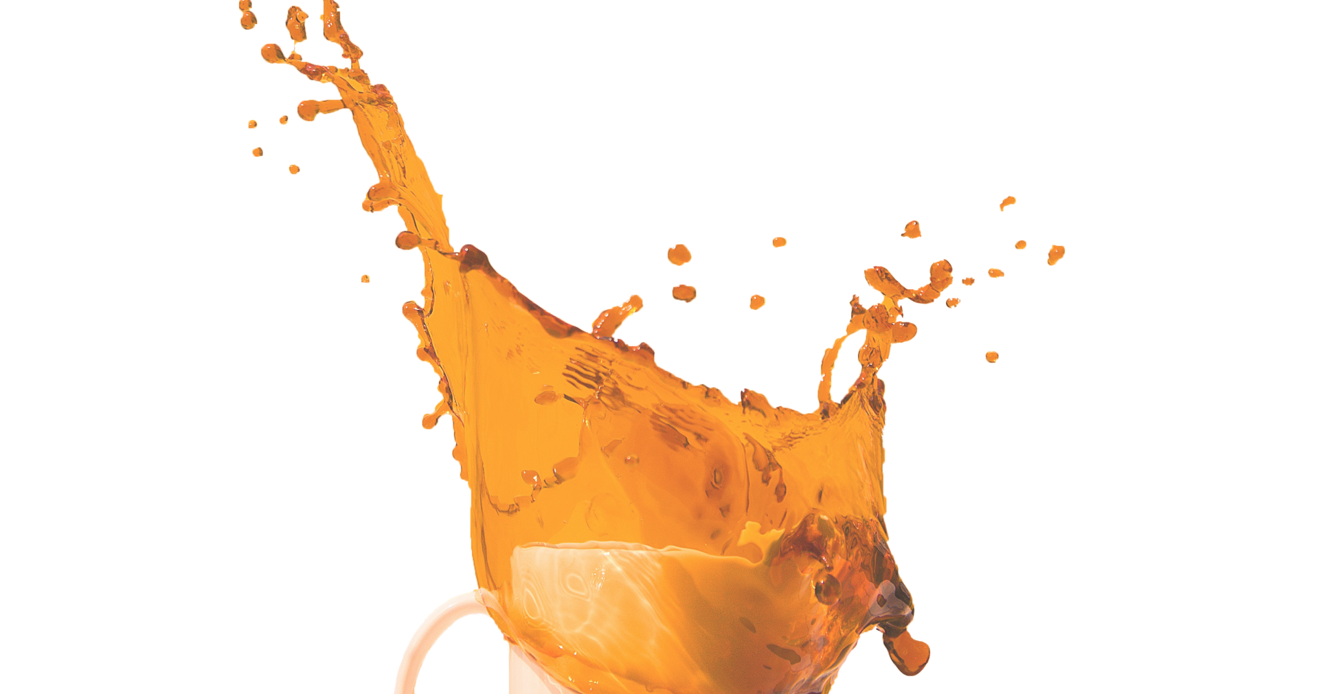 Everbold - Digital marketing servies